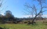 33916 County Road 437 - Photo 5