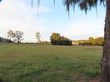 33916 County Road 437 - Photo 6