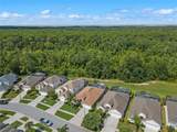8155 Sun Palm Drive - Photo 46