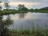 3602 Robert Murphy Road - Photo 26
