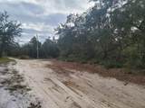  Cooter Pond Road - Photo 1