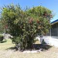 34939 Learn Road - Photo 2