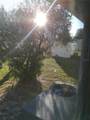 34939 Learn Road - Photo 37