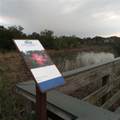 34939 Learn Road - Photo 41