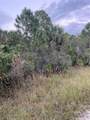 739 Spoonbill Street - Photo 14