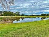 700 Siena Palm Drive - Photo 2