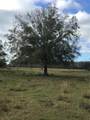 1425 Fort Christmas Road - Photo 3