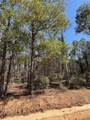  Coyote Trail - Photo 4