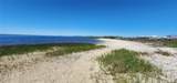 2228 Turkey Oak Road - Photo 12