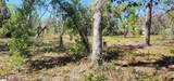 2228 Turkey Oak Road - Photo 17