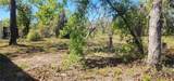 2228 Turkey Oak Road - Photo 18