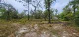 2228 Turkey Oak Road - Photo 27