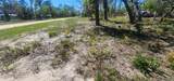 2228 Turkey Oak Road - Photo 29