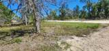 2228 Turkey Oak Road - Photo 50