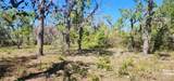 2228 Turkey Oak Road - Photo 59