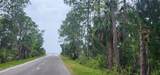 2228 Turkey Oak Road - Photo 64