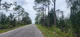 2228 Turkey Oak Road - Photo 65
