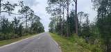 2228 Turkey Oak Road - Photo 67