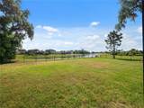 119 Rosa Bella View - Photo 31