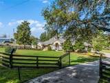 5156 Effie Drive - Photo 7