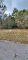 1428 Hillsborough Drive - Photo 2