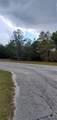 1428 Hillsborough Drive - Photo 3