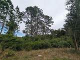  Spruce Drive - Photo 17