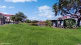 2329 Lobelia Drive - Photo 43