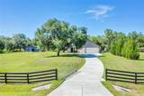 19749 Quinella Street - Photo 3