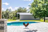 19749 Quinella Street - Photo 39