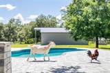 19749 Quinella Street - Photo 40