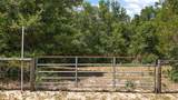 4807 Meadowland Drive - Photo 1
