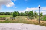 10133 Colt Lane - Photo 7
