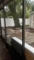 924 Patrick Street - Photo 3