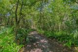 4537 Plymouth Sorrento Road - Photo 56