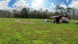 1850 Sloans Ridge Road - Photo 2