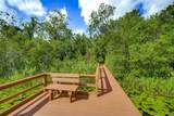 10113 Canopy Tree Court - Photo 38