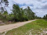  Buck Run Drive - Photo 1