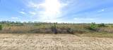 411 Portulaca Drive - Photo 2