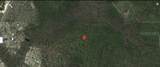 12241 Pineridge Road - Photo 3