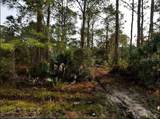  Starfish Avenue - Photo 2