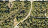  Ceriman Road - Photo 4