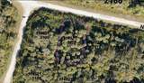  Newman Drive - Photo 3