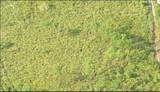  Dill Road - Photo 3