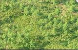  Dill Road - Photo 3