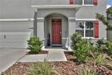 209 Sofia Lane - Photo 36