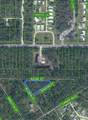2433 Azure Street - Photo 2