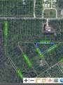 2433 Azure Street - Photo 4