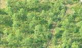  Dill Road - Photo 3