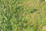  Dill Road - Photo 3